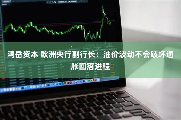 鸿岳资本 欧洲央行副行长：油价波动不会破坏通胀回落进程