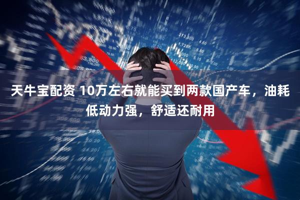 天牛宝配资 10万左右就能买到两款国产车，油耗低动力强，舒适还耐用