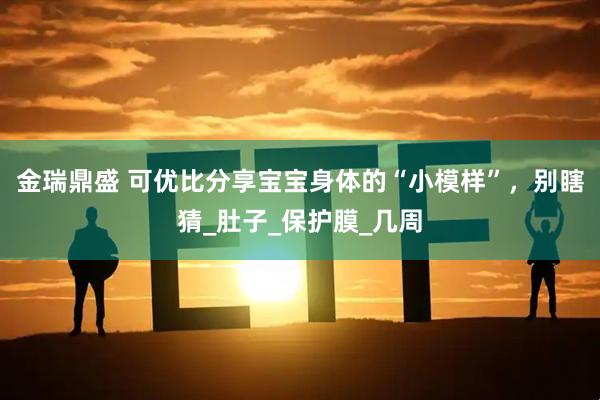 金瑞鼎盛 可优比分享宝宝身体的“小模样”，别瞎猜_肚子_保护膜_几周