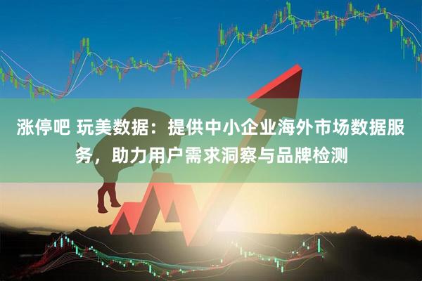 涨停吧 玩美数据：提供中小企业海外市场数据服务，助力用户需求洞察与品牌检测