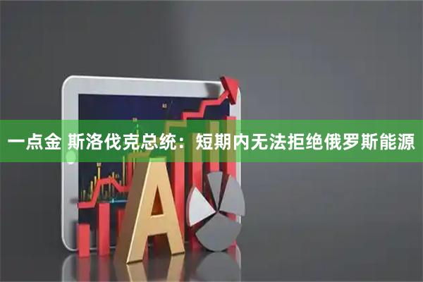 一点金 斯洛伐克总统：短期内无法拒绝俄罗斯能源