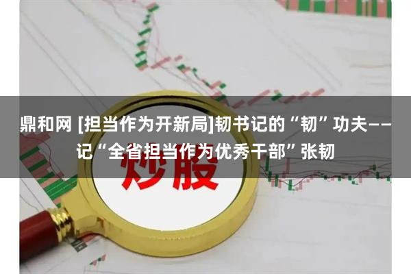 鼎和网 [担当作为开新局]韧书记的“韧”功夫——记“全省担当作为优秀干部”张韧