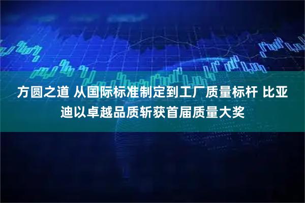方圆之道 从国际标准制定到工厂质量标杆 比亚迪以卓越品质斩获首届质量大奖